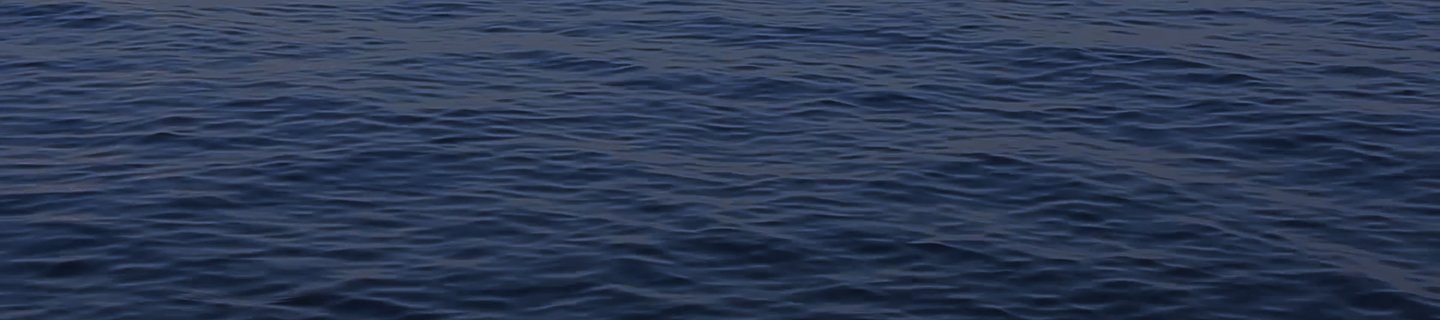 Finnofleet Header – Wellen-Motiv