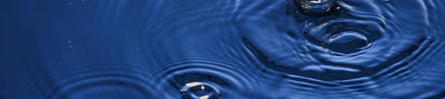 Finnofleet Header-Bild 17